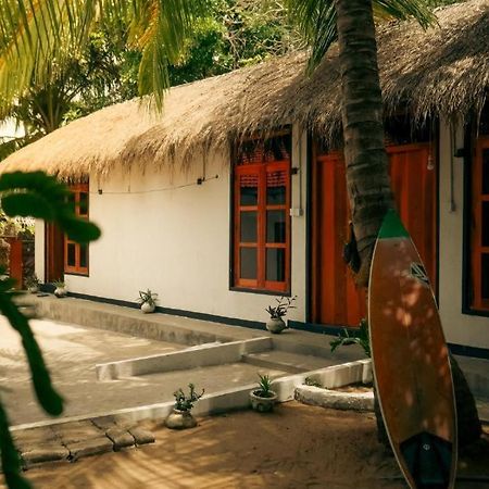 Surfing Lion Hostel アルガムベイ エクステリア 写真