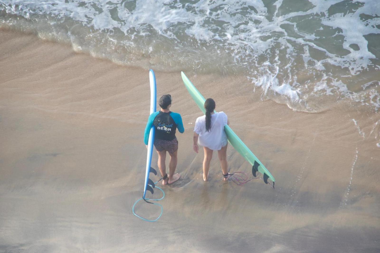 Surfing Lion Hostel アルガムベイ エクステリア 写真
