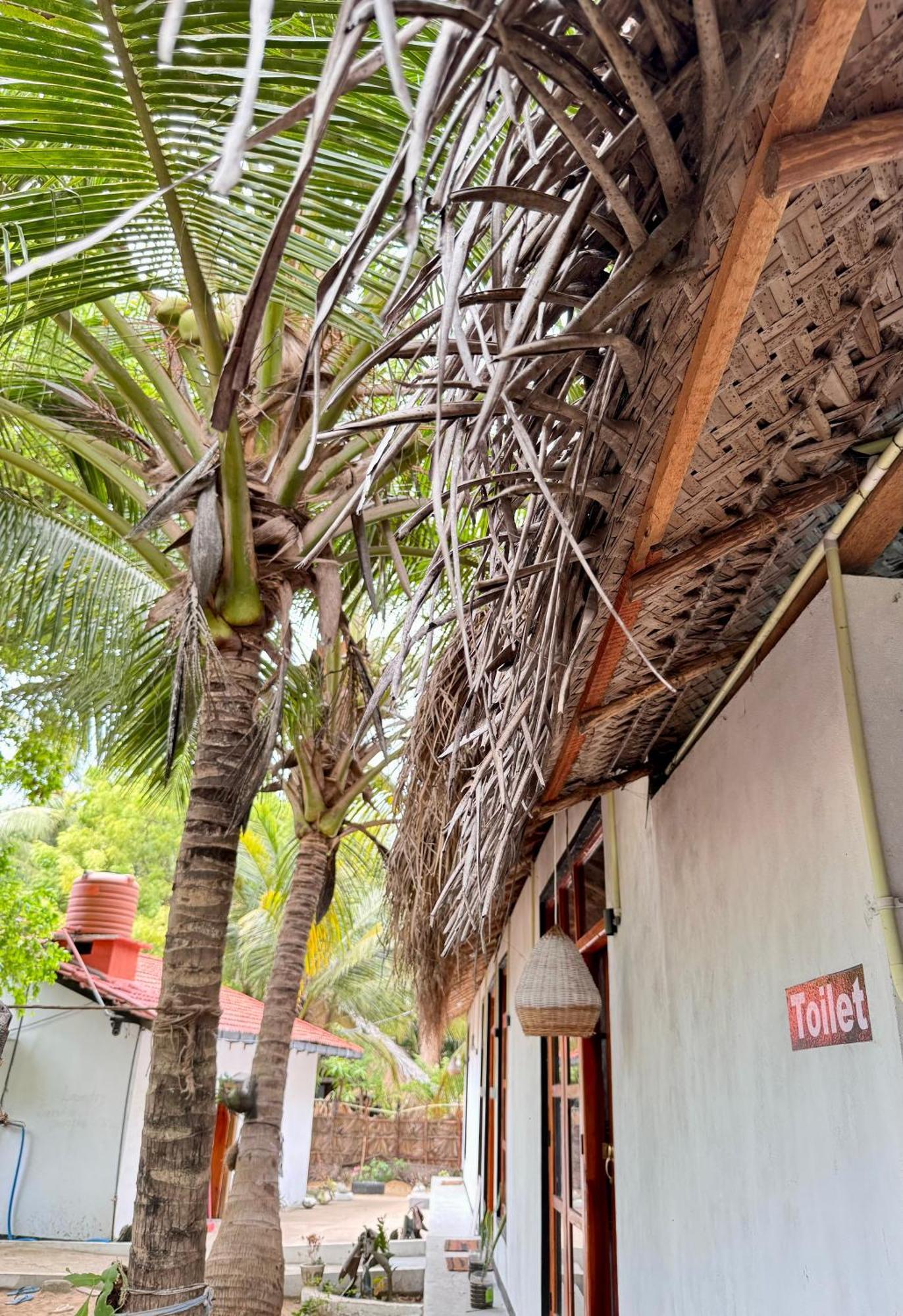 Surfing Lion Hostel アルガムベイ エクステリア 写真