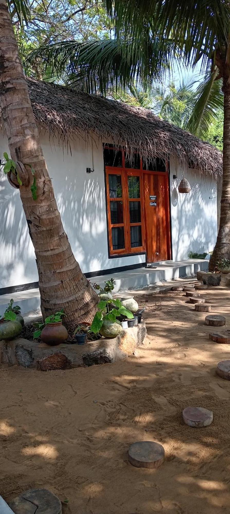 Surfing Lion Hostel アルガムベイ エクステリア 写真