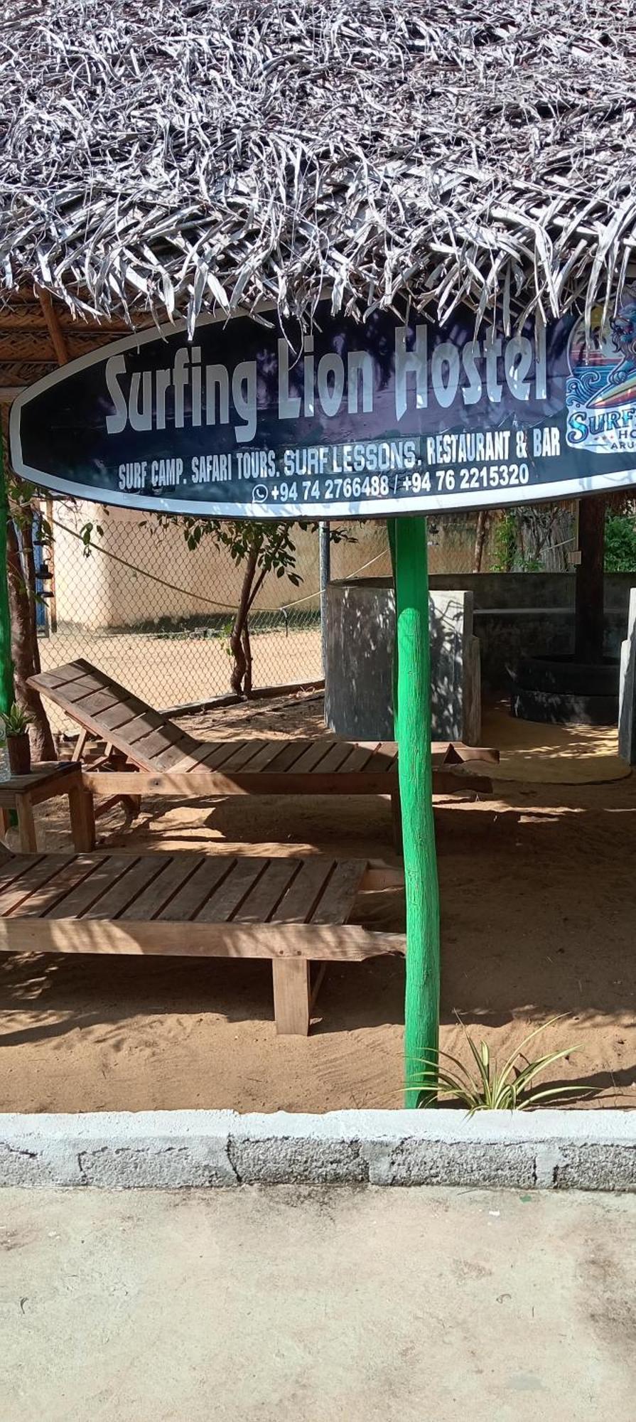 Surfing Lion Hostel アルガムベイ エクステリア 写真