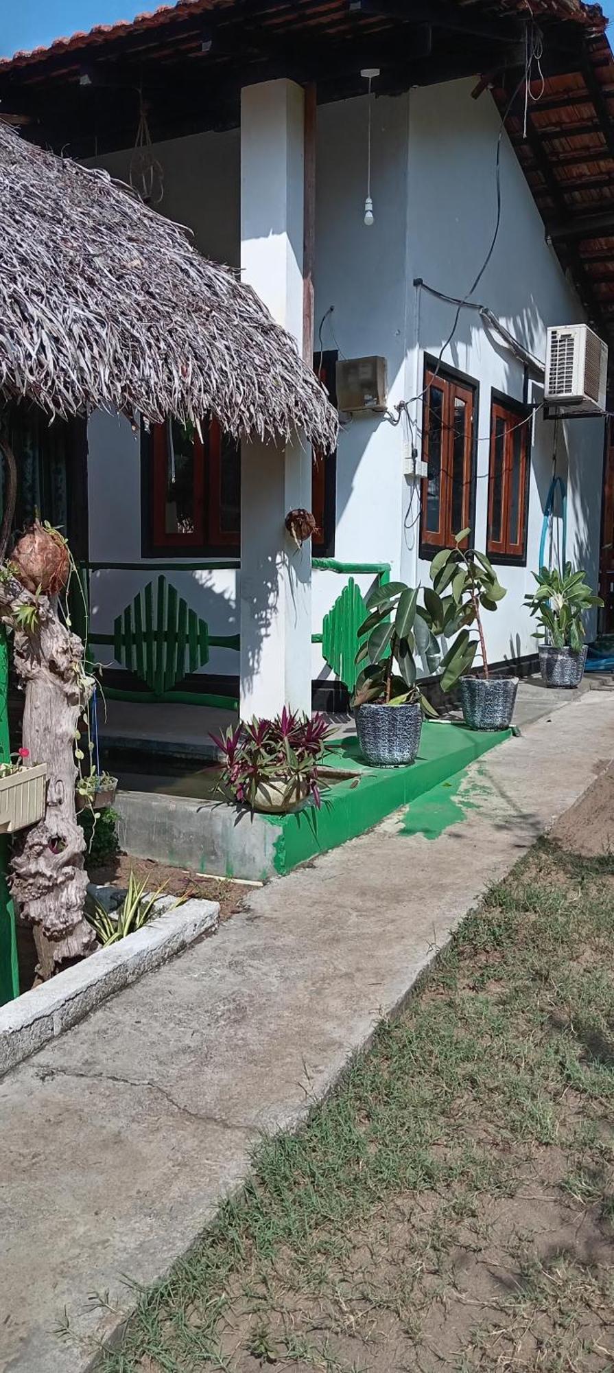 Surfing Lion Hostel アルガムベイ エクステリア 写真