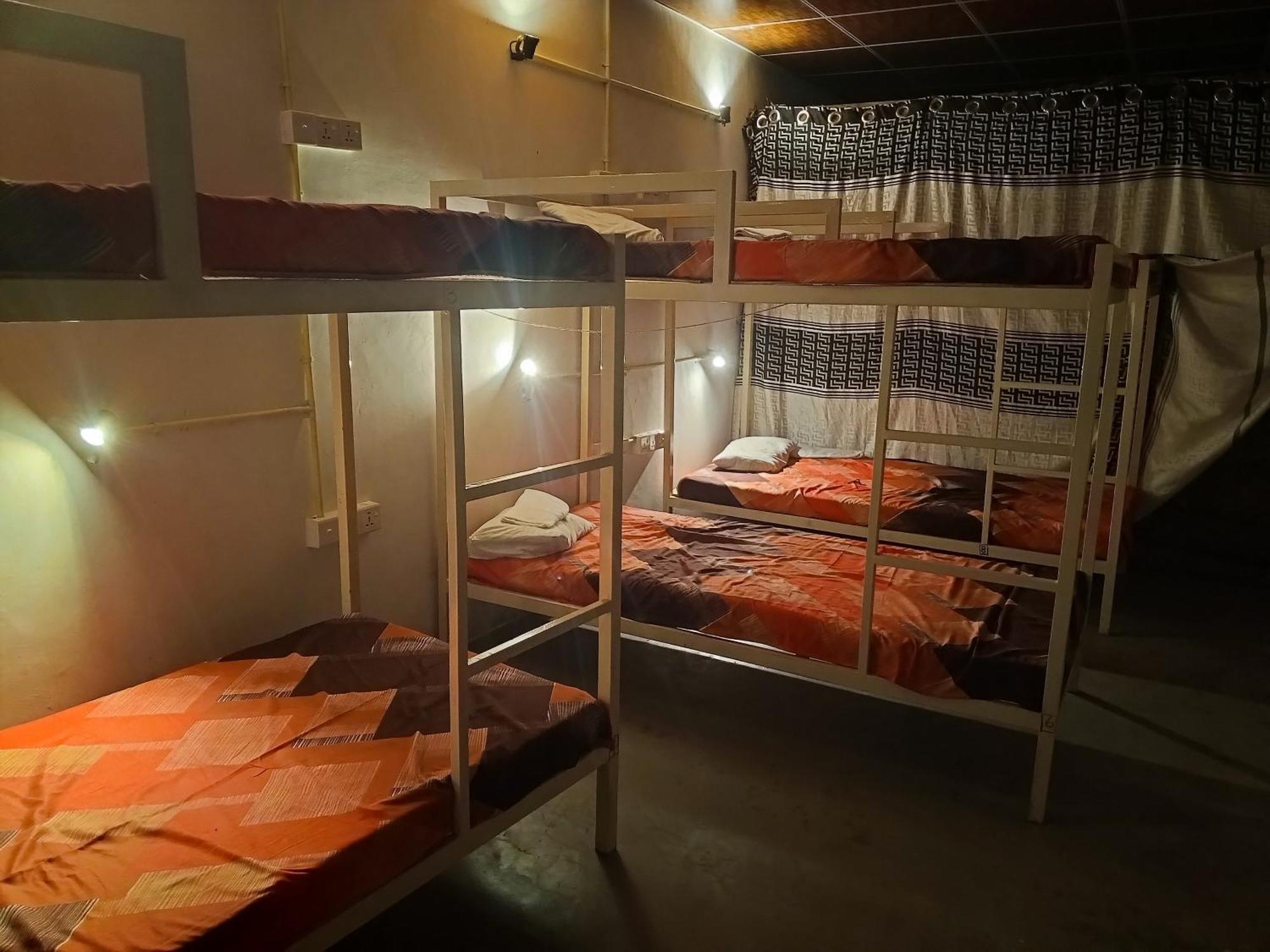 Surfing Lion Hostel アルガムベイ エクステリア 写真