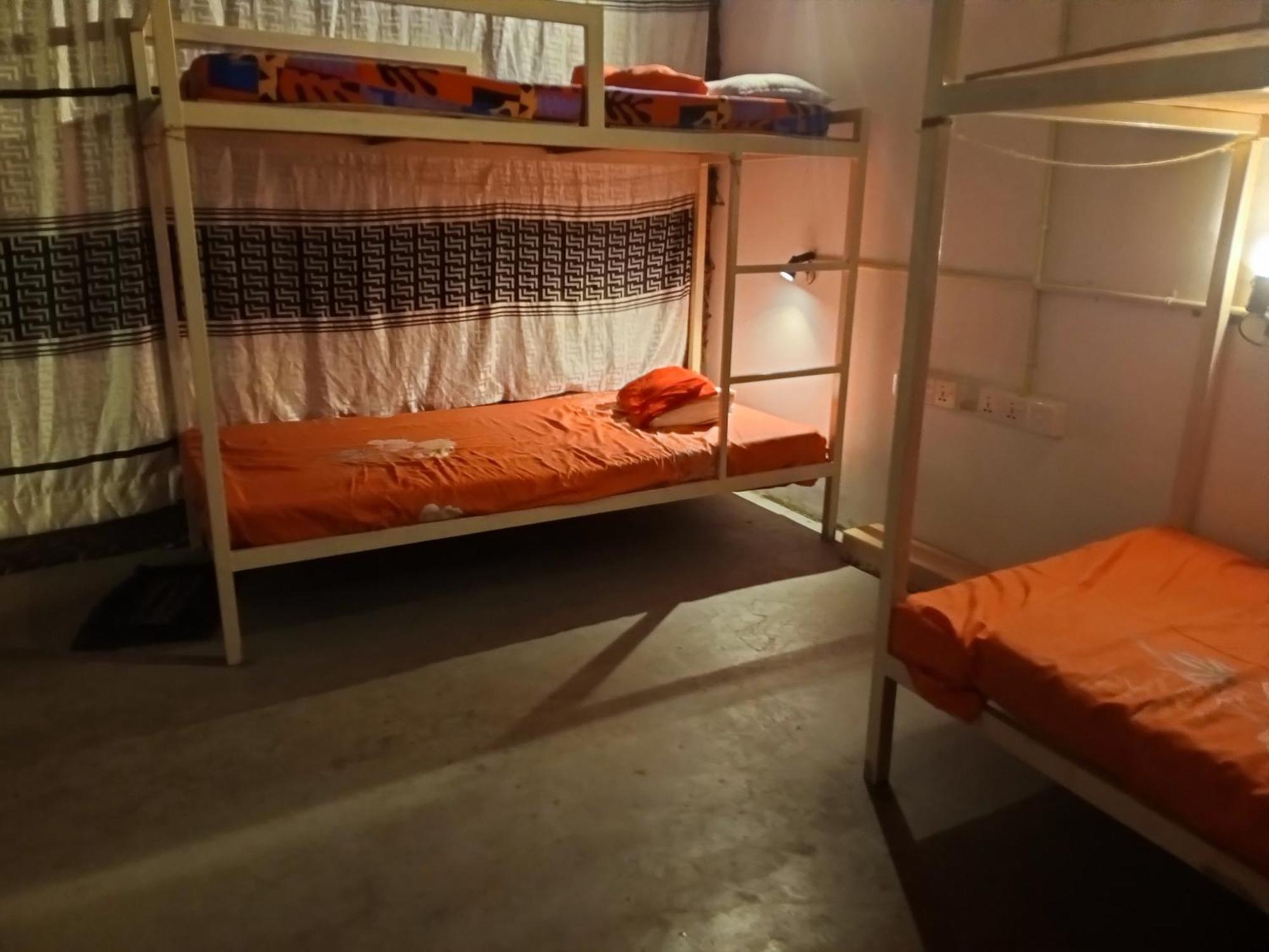 Surfing Lion Hostel アルガムベイ エクステリア 写真