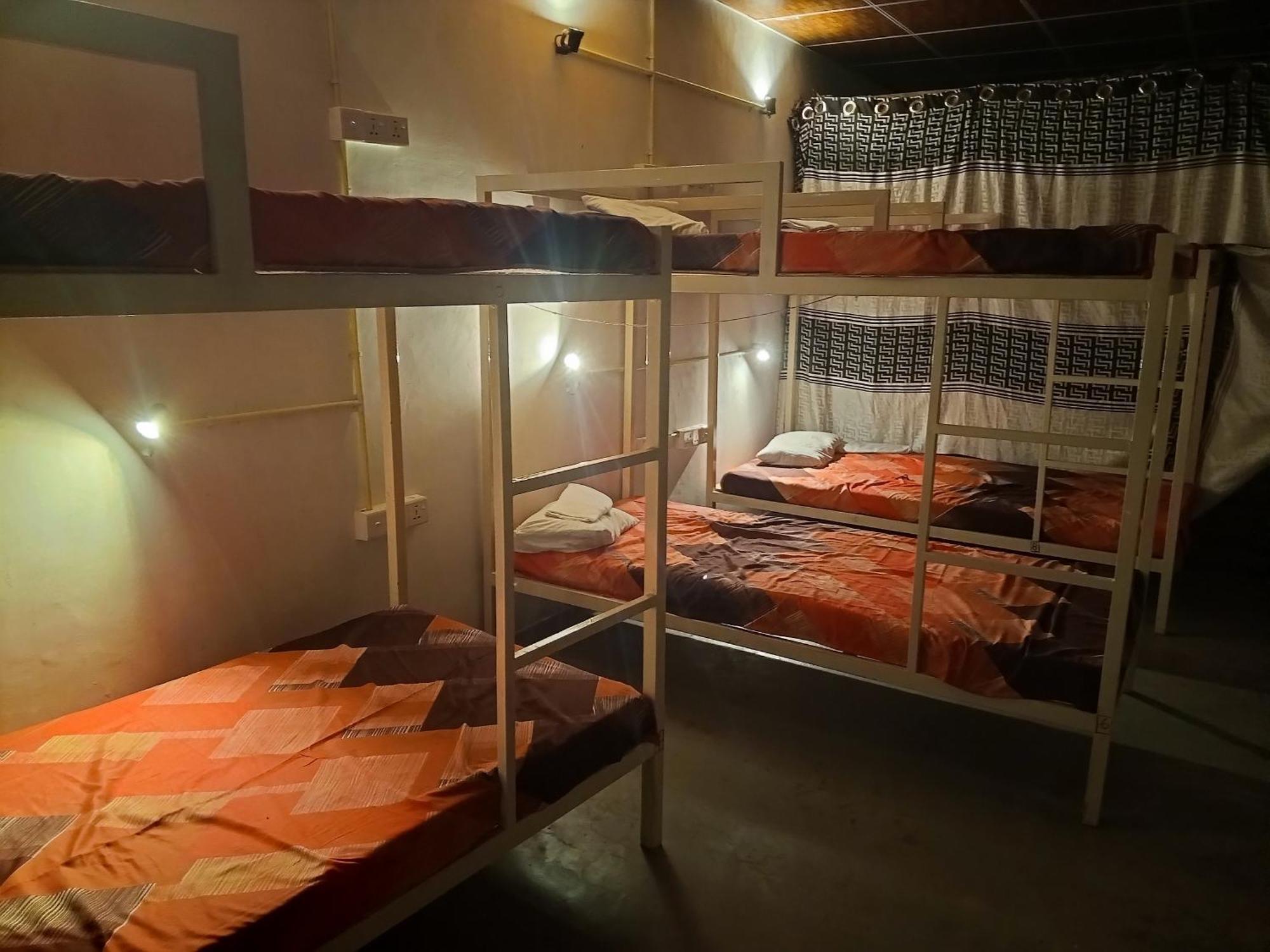 Surfing Lion Hostel アルガムベイ エクステリア 写真