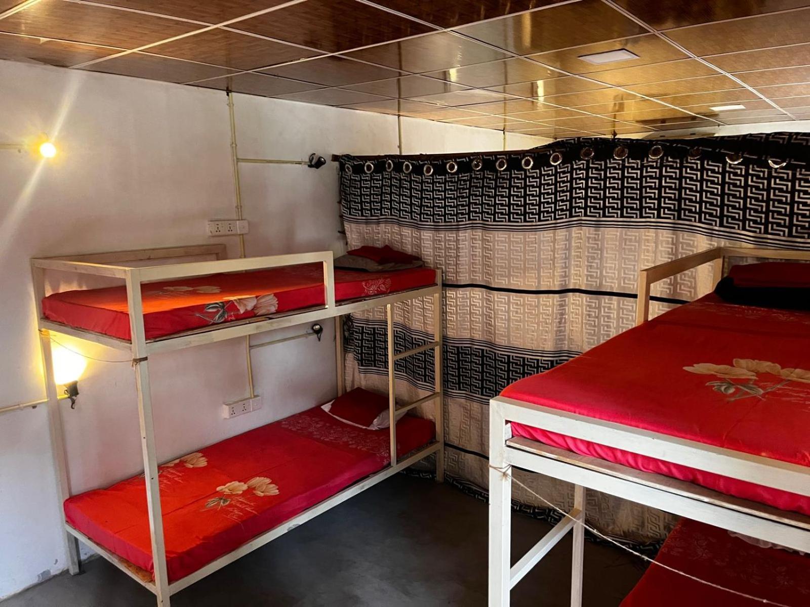 Surfing Lion Hostel アルガムベイ エクステリア 写真