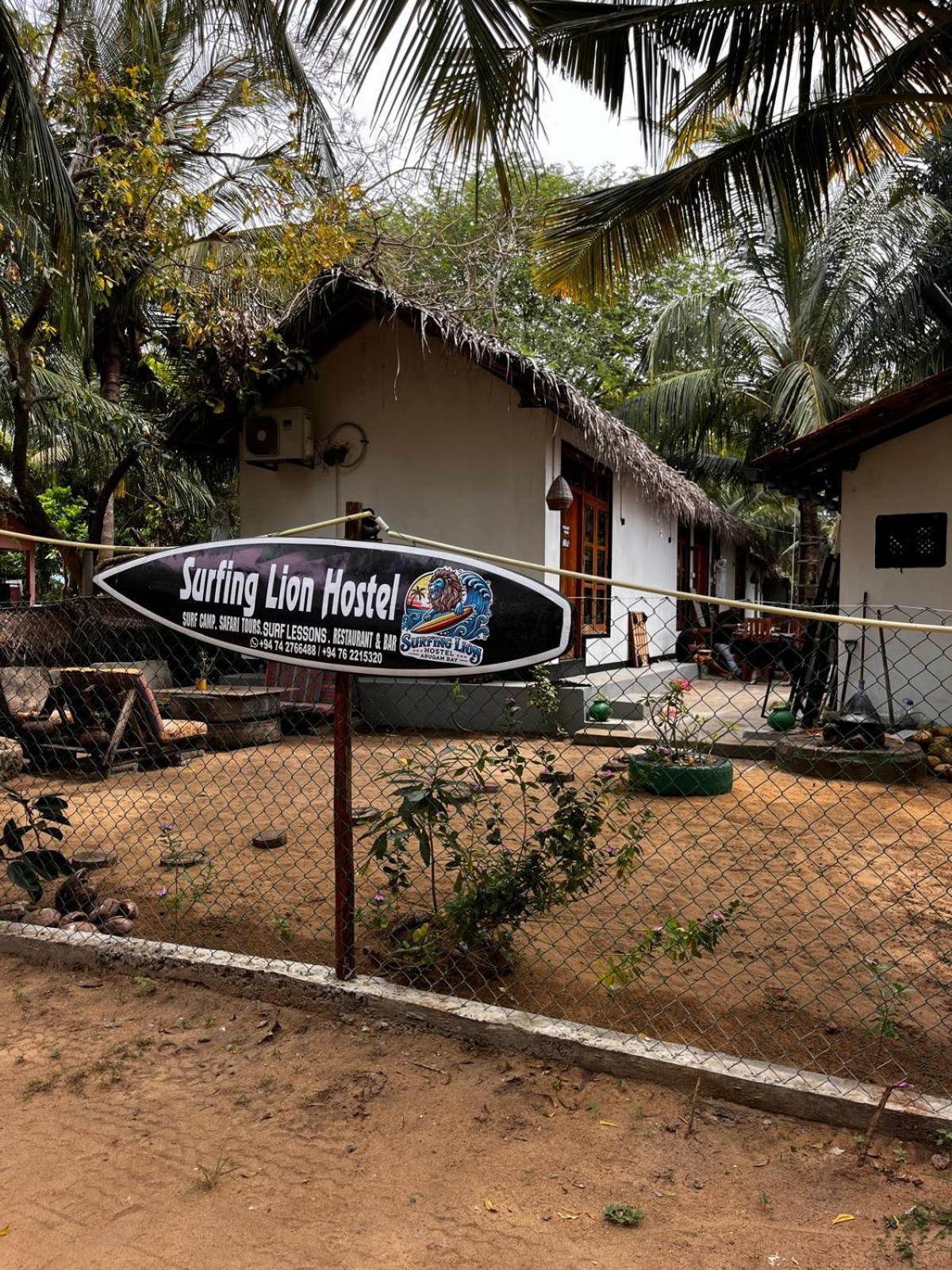 Surfing Lion Hostel アルガムベイ エクステリア 写真