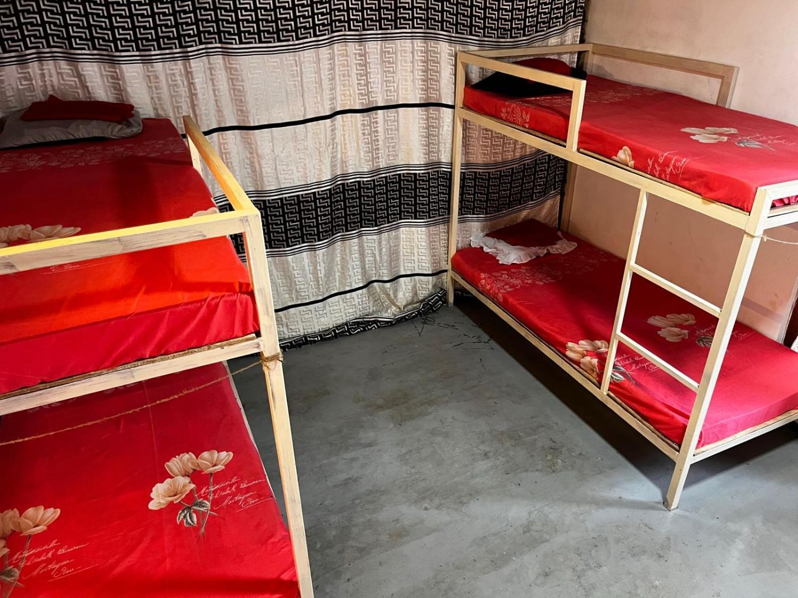 Surfing Lion Hostel アルガムベイ エクステリア 写真