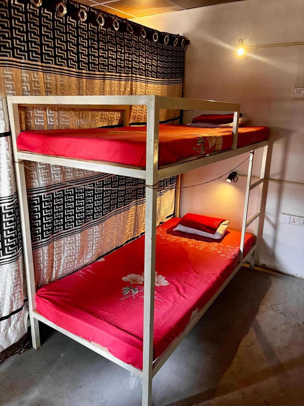 Surfing Lion Hostel アルガムベイ エクステリア 写真