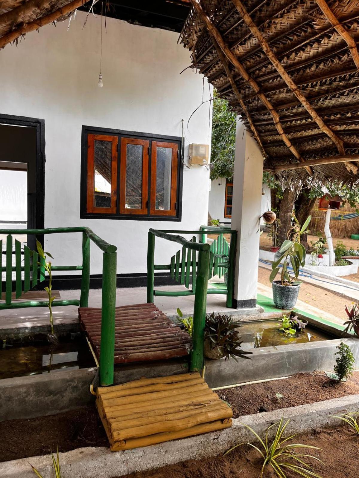 Surfing Lion Hostel アルガムベイ エクステリア 写真