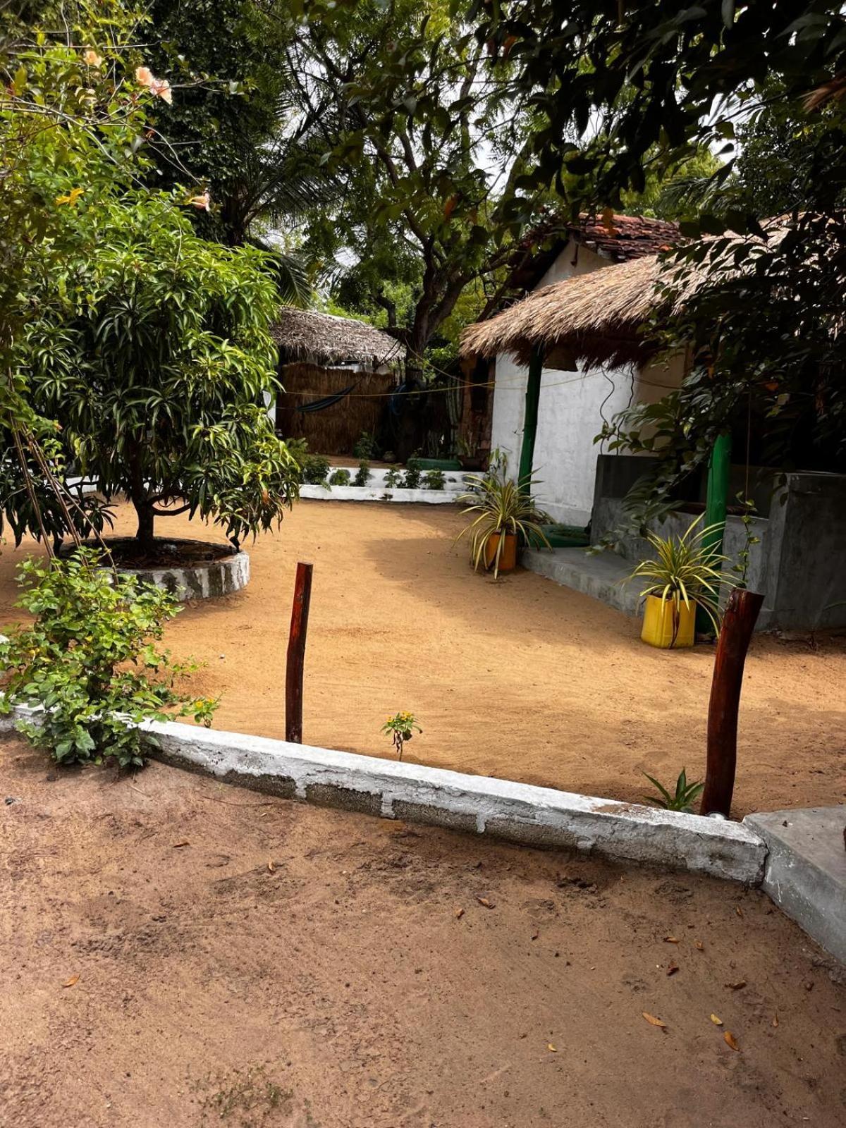 Surfing Lion Hostel アルガムベイ エクステリア 写真