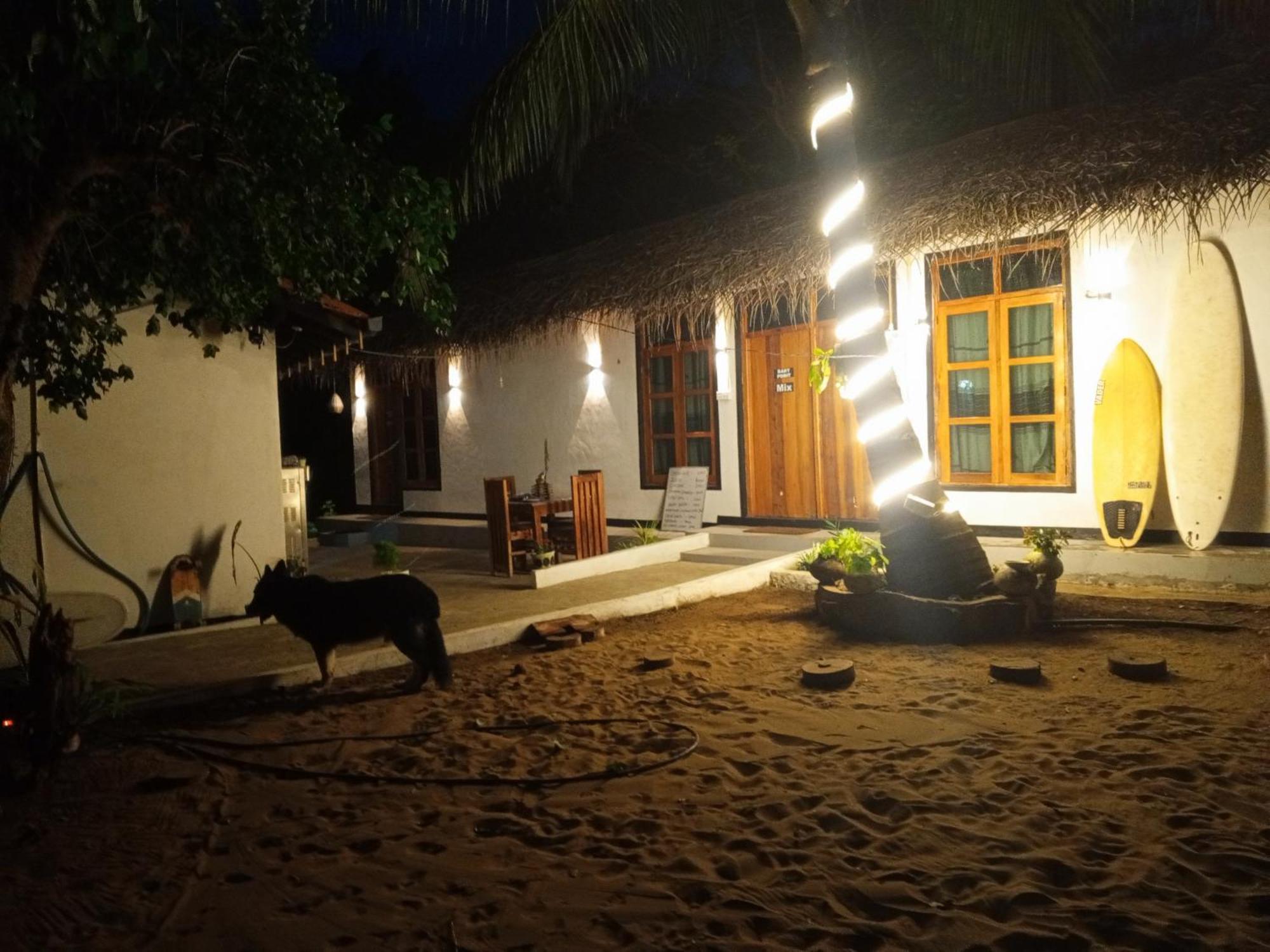 Surfing Lion Hostel アルガムベイ エクステリア 写真