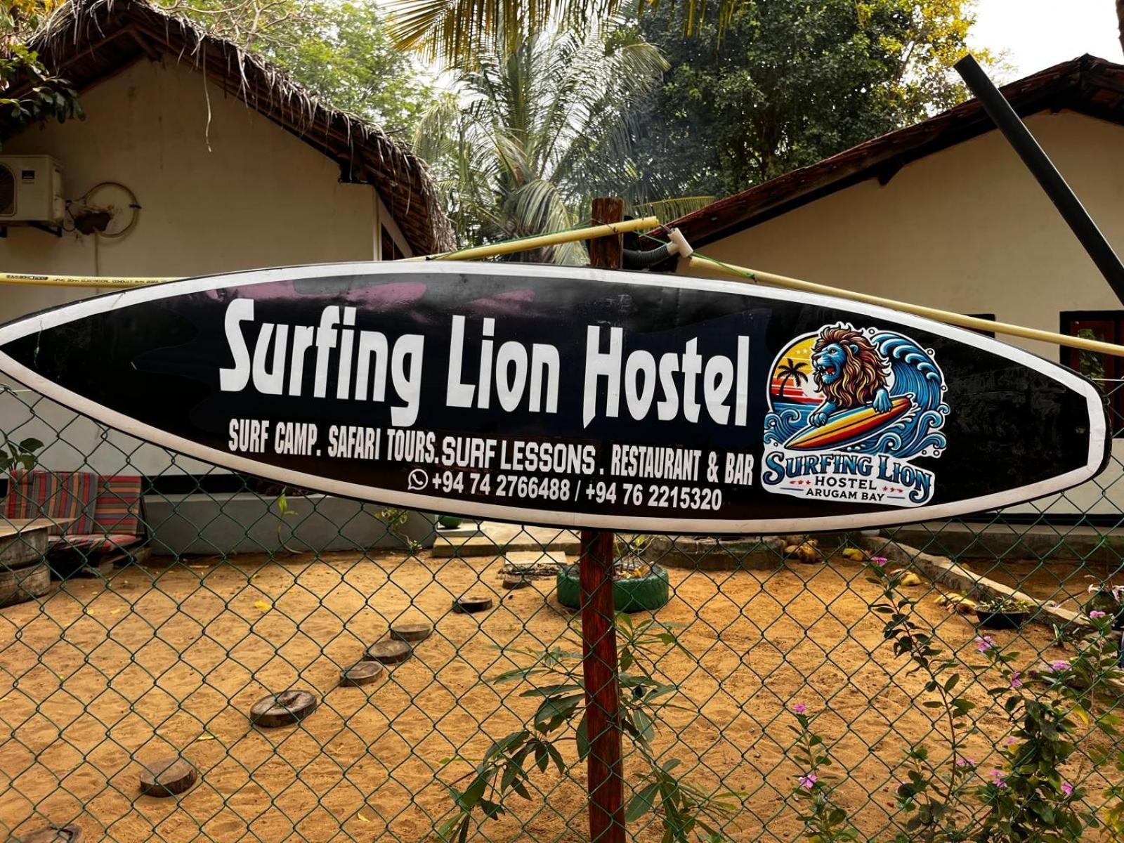Surfing Lion Hostel アルガムベイ エクステリア 写真