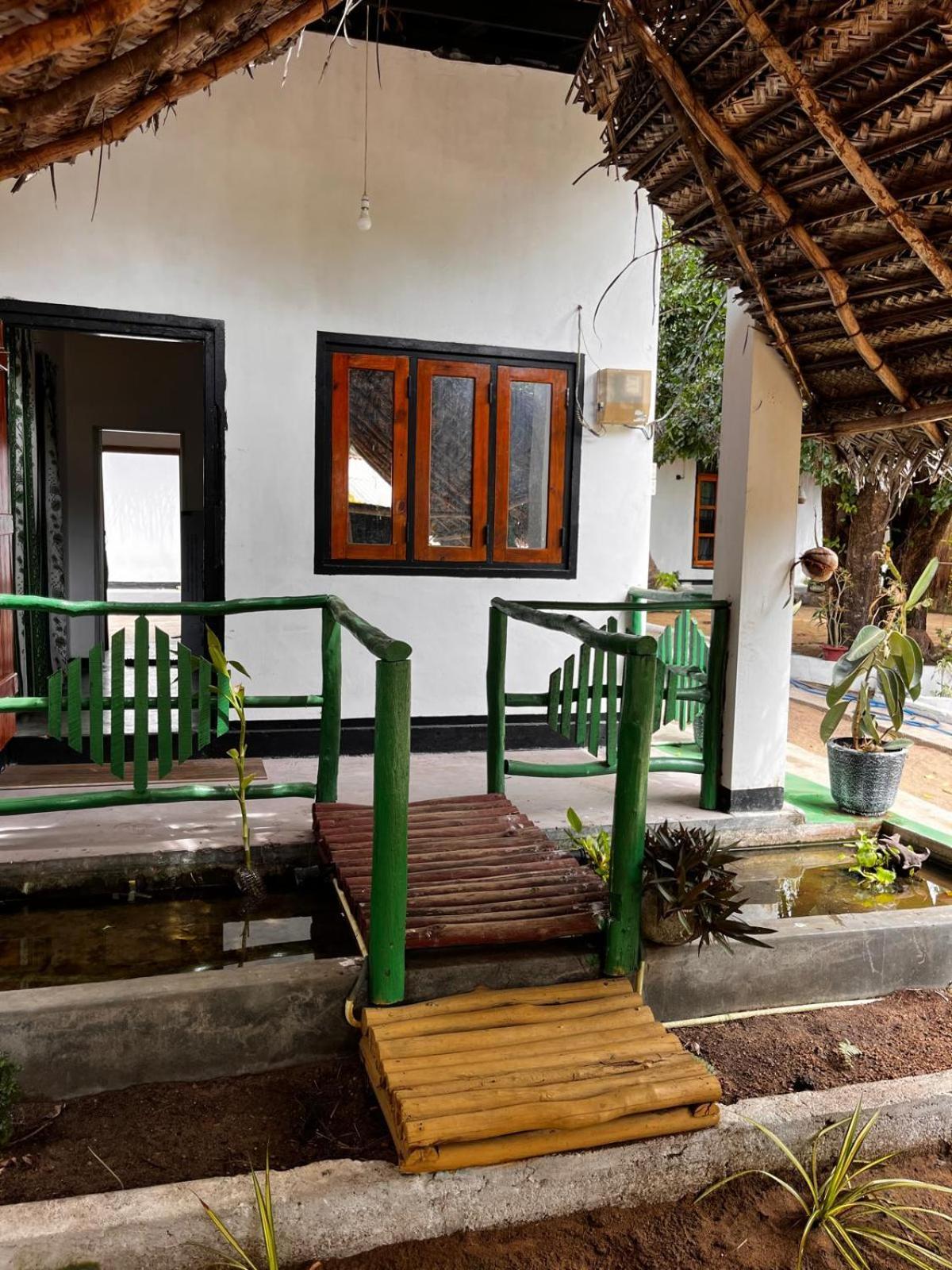 Surfing Lion Hostel アルガムベイ エクステリア 写真