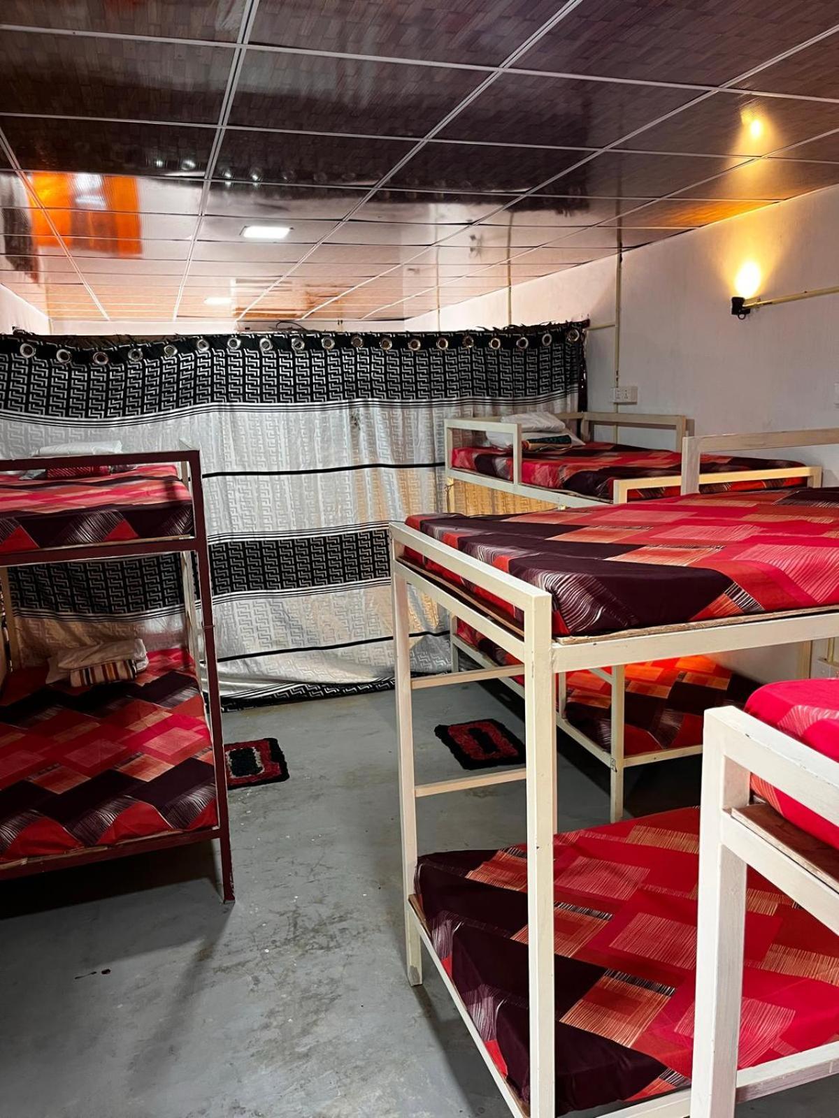 Surfing Lion Hostel アルガムベイ エクステリア 写真