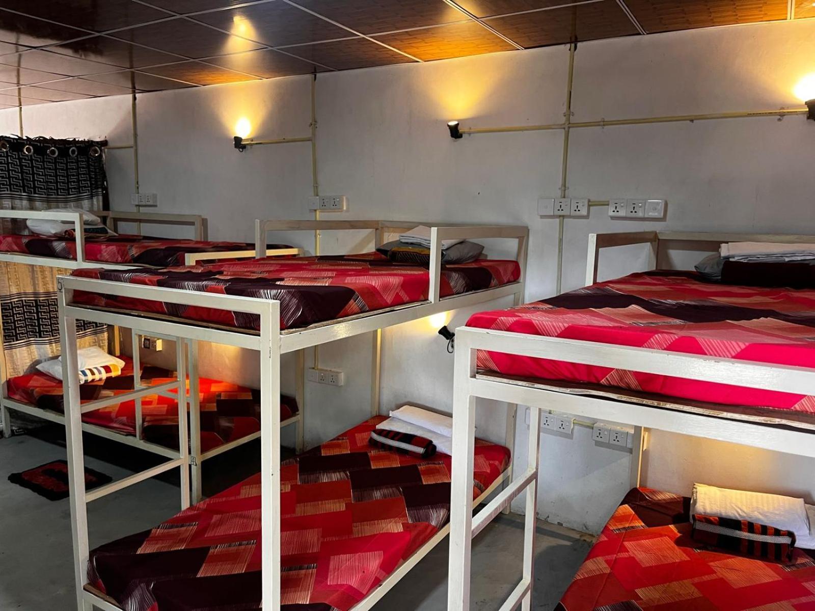 Surfing Lion Hostel アルガムベイ エクステリア 写真