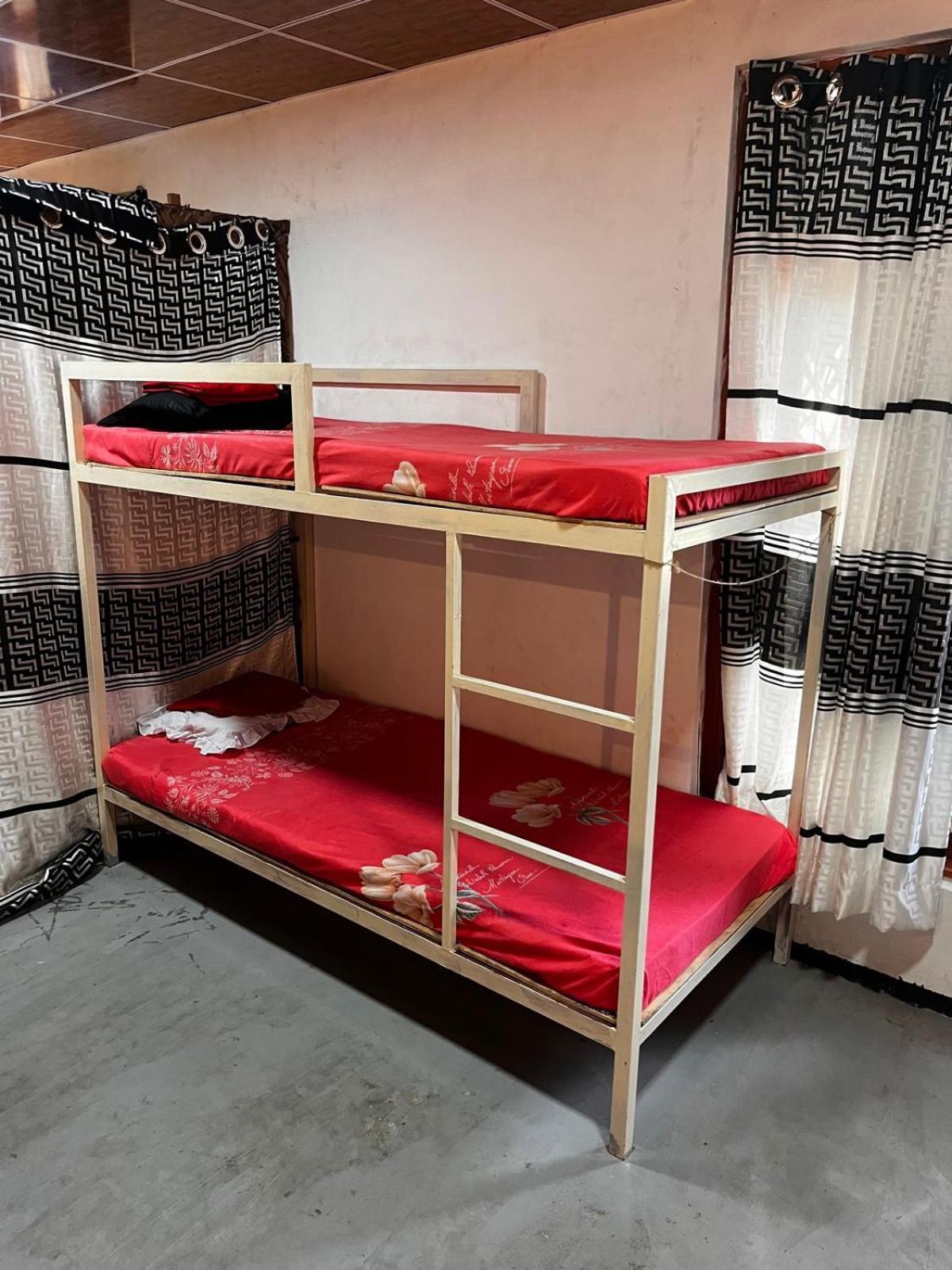 Surfing Lion Hostel アルガムベイ エクステリア 写真
