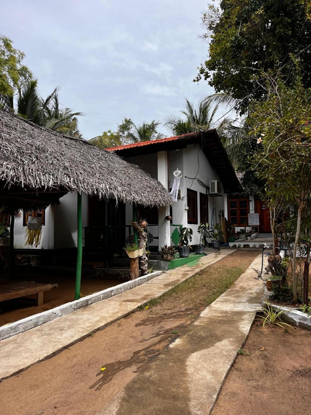 Surfing Lion Hostel アルガムベイ エクステリア 写真