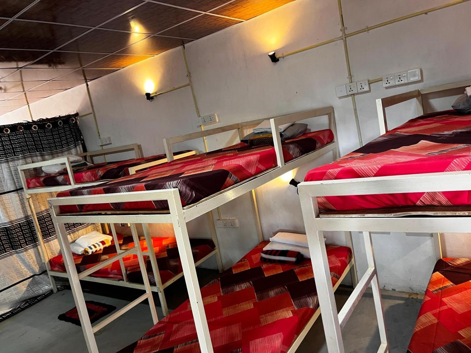 Surfing Lion Hostel アルガムベイ エクステリア 写真