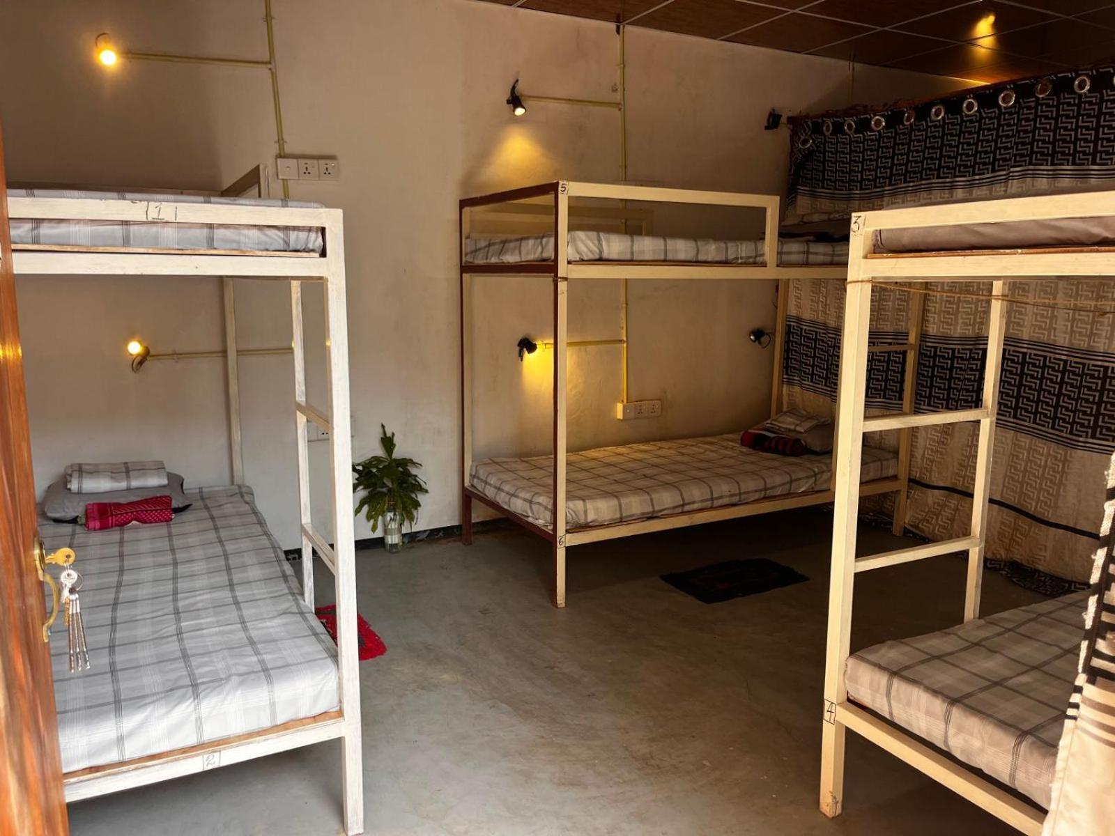 Surfing Lion Hostel アルガムベイ エクステリア 写真